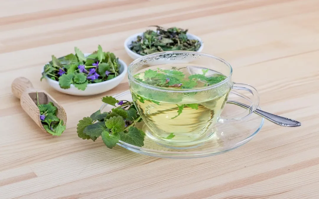 Buvez des Décoctions de Plantes Médicinales selon la Médecine Traditionnelle Chinoise