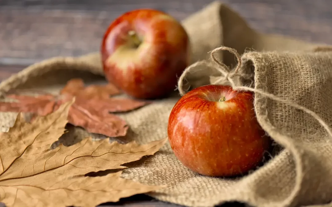 Báilù : Fatigue, Immunité et Sécheresse – Comment Préparer Son Corps à l’Automne