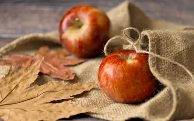 Báilù : Fatigue, Immunité et Sécheresse – Comment Préparer Son Corps à l’Automne