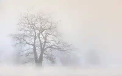 Lìdōng : Fatigue, Immunité et Préparation à l’Hiver – Comment Renforcer Son Corps